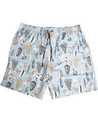 Dolce & Gabbana - Blue Seashell Print Nylon Men Shorts Swimwear - Lyst