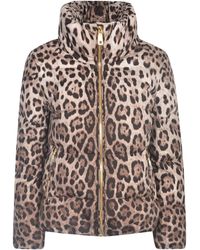 Dolce & Gabbana - Padded Leopard-Print Nylon Jacket - Lyst