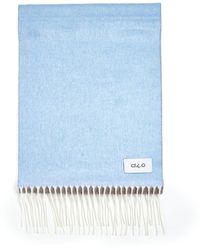 D 40 - And Light Scarf With Fringes - Lyst