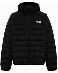 New Hometown Down Hoodie Sequoia 