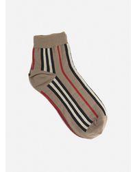 burberry socks amazon