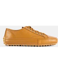 Tod's - Cassetta Pelle Honey Caramel Calfskin Low-Top Sneaker - Lyst