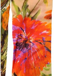 Dolce & Gabbana - Floral Print Tights Sheer Stockings Socks Nylon Clothing - Lyst