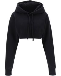 MM6 by Maison Martin Margiela - Cropped Hoodie With Numeric Logo - Lyst