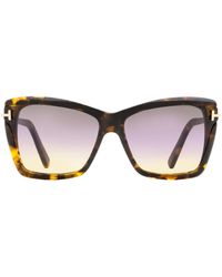 Tom Ford - Butterfly Sunglasses Tf849 Leah 55B Vintage Havana- 64Mm Ft0849 Havana/ Plastic (Acetate) - Lyst