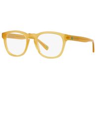Polo Ralph Lauren - Eyeglasses Round Full Rim, Opal Honey Frame And Clear Demo Lenses Lens Ph22585005 Sunglasses - Lyst