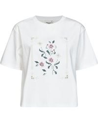 Weekend by Maxmara - T-Shirt Wkdsala Jersey Cotton T-Shirts & Jerseys - Lyst