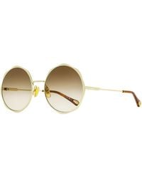 Chloé - Chloe Scallop Rim Sunglasses Ch0184S 002- 59Mm Metal/Plastic (Acetate) - Lyst