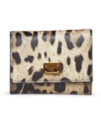 Dolce & Gabbana - Wallet Leopard-Print Dauphine Calf Leather - Lyst