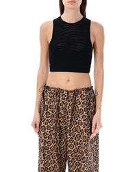 Emporio Armani - Knit Cropped Top - Lyst