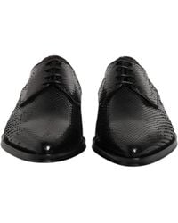 Dolce & Gabbana - Derby In Python - Lyst