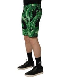 Dolce & Gabbana - Banana Leaf Bermuda Shorts Cotton Elastane - Lyst