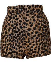 Dolce & Gabbana - Brown Leopard High Waisted Hot Pants Shorts - Lyst