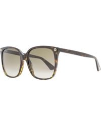 Gucci - Square Sunglasses Gg0022S 003 57Mm 0022 Plastic (Acetate) - Lyst