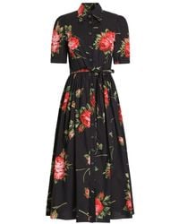 Dolce & Gabbana - Rose Bouquet-Print Poplin Shirt Dress - Lyst