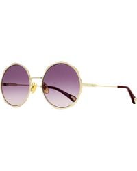 Chloé - Chloe Scallop Rim Sunglasses Ch0184S 006- 59Mm Metal/Plastic (Acetate) - Lyst