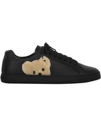 Palm Angels - New Teddy Bear Leather Low-Top Sneakers - Lyst