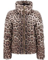 Dolce & Gabbana - Leopard Print Short Puffer Jacket - Lyst
