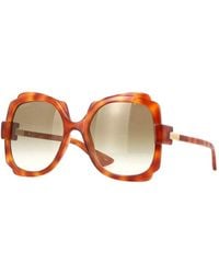 Gucci - Havana Butterfly Shape Sunglasses - Lyst