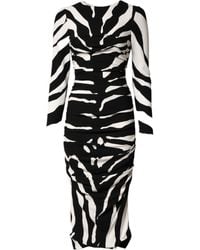 Dolce & Gabbana - Zebra Viscose Sheath Midi Dress And 05+Vi - Lyst