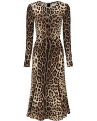 Dolce & Gabbana - Midi Dress In Leopard Cady - Lyst
