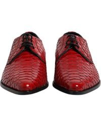 Dolce & Gabbana - Exotic Leather Lace Up Dress Derby Shoes Python - Lyst