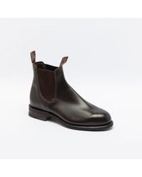 R.M.Williams - Comfort Turnout Chestnut Yearling Leather Chelsea Boot - Lyst