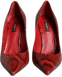 Dolce & Gabbana - Leather Stiletto High Heels Pumps Shoes Python Calf - Lyst