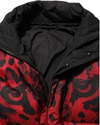Dolce & Gabbana - Reversible Animal Print Puffer Coat Jacket Polyester Clothing - Lyst