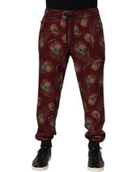 Dolce & Gabbana - Peacock Feather Print Jogger Pants Polyester Elastane - Lyst