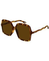 Chloé - Chloe Sunglasses Square Full Rim, Havana Frame And Lens Ch0086S005 - Lyst