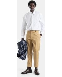 Burberry - Fred Straight-Leg Camel Cotton-Twill Chinos Jean - Lyst