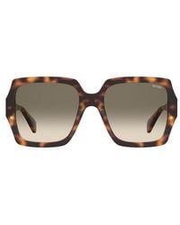 Moschino - Sunglasses Square Full Rim, Havana Frame And Gradient Lens Mos127-S-Us005L9K - Lyst