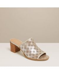 jack rogers mules