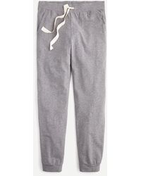 j crew dreamy jogger