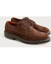 J.Crew - Alden For Suede Longwing Bluchers With Crepe Soles - Lyst