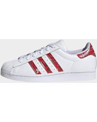 superstar 2 women for sale
