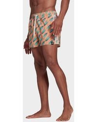 supernova tko graphic shorts