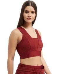 ivy park bralette