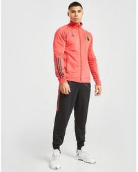 macys adidas sweatsuits