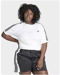 adidas Originals - T-shirt 3-Stripes Baby (Grandes tailles) - Lyst