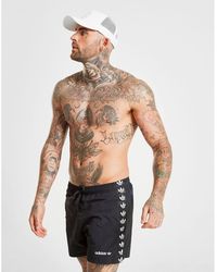 adidas trefoil swim shorts