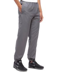 grey lacoste guppy track pants