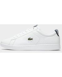 lacoste carnaby evo tricolor