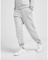 tute sportive guess