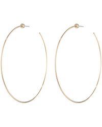 jenny bird hoop earrings