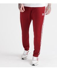 sst tp track pants
