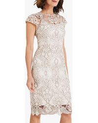 phase eight trinity lace dress