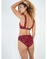 Hush - Leopard Print Classic Bikini Bottoms - Lyst