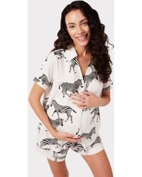 Chelsea Peers - Zebra Short Shirt Maternity Pyjama Set - Lyst